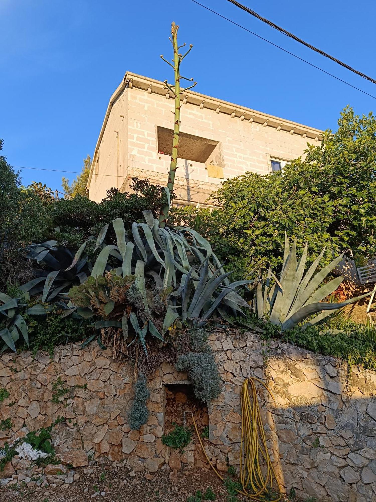 Apartmarin Trogir Exterior photo